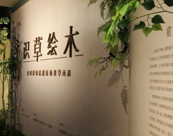 抓住暑假的尾巴，帶孩子感受博物館藝術(shù)的“光合作用”！